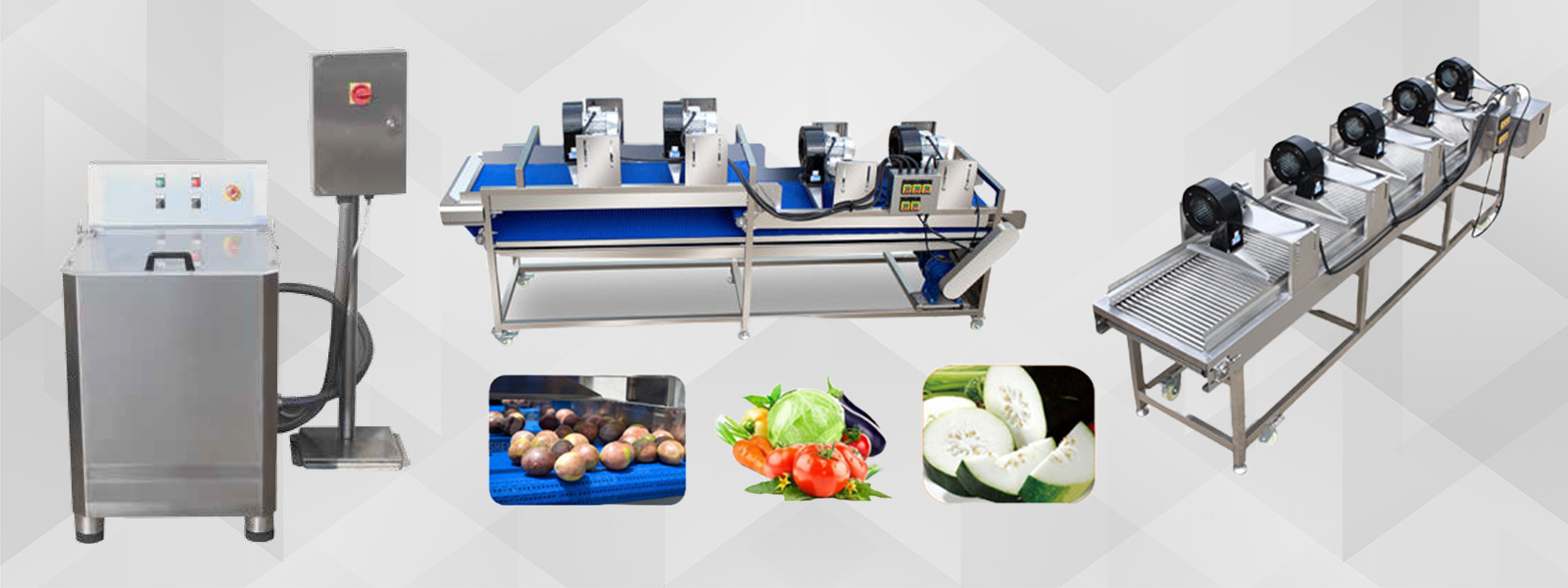 Vegetables & Fruits Processing Machines
