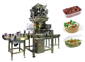 Automatic Inline Container Filling Machine