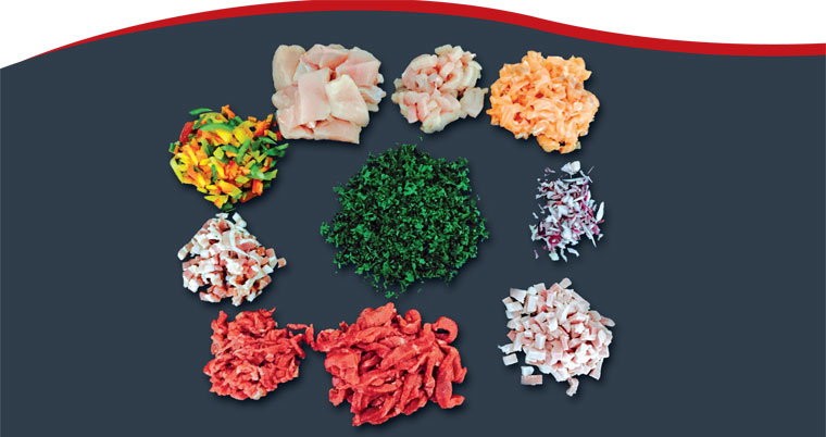 Dicer Machine for Food Cutting in Diffrent Formats