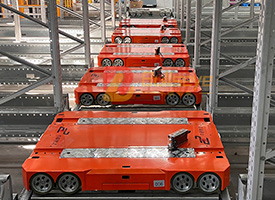Automated Storage & Retrieval Systems (ASRS)