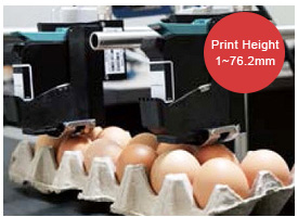 Egg Printer