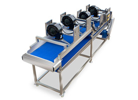 Air Dryers for Fruit & Vegetable