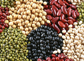Pulses